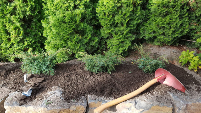 Planting