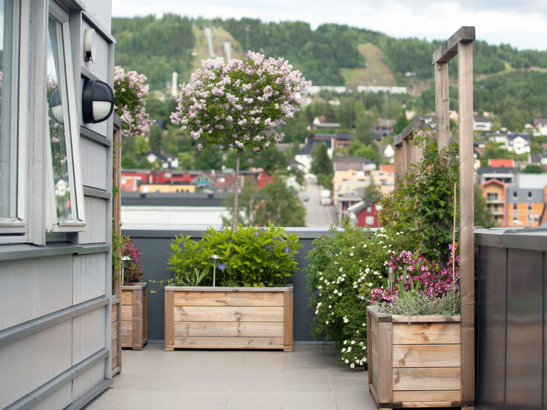 Terrasse toppleilighet