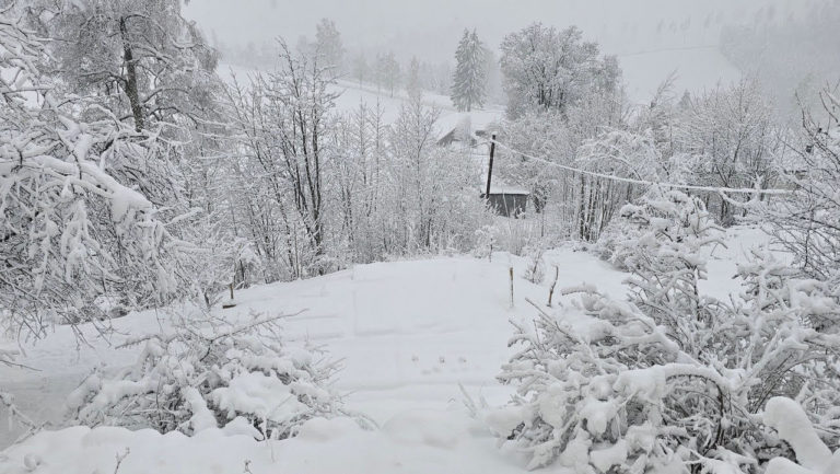 Vinter